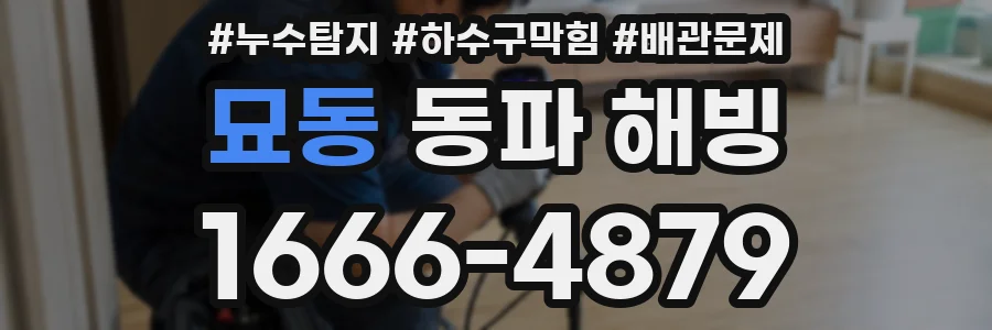 묘동 동파 해빙