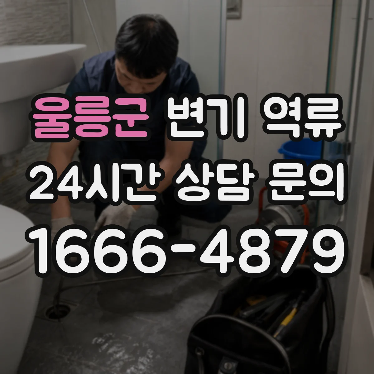 울릉군 변기 역류