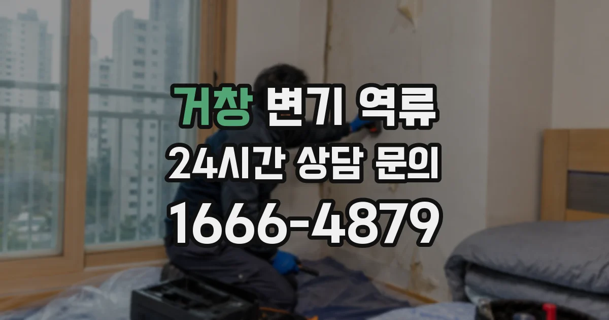 거창 변기 역류