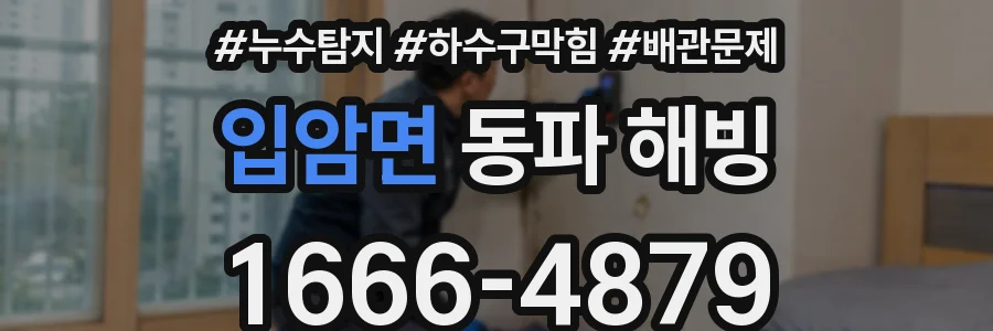 입암면 동파 해빙