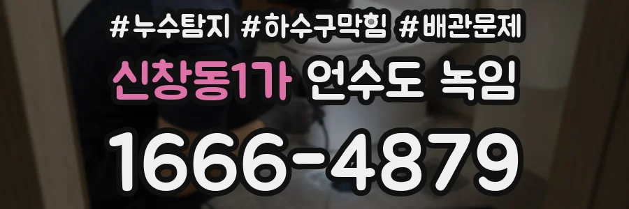 신창동1가 언수도 녹임