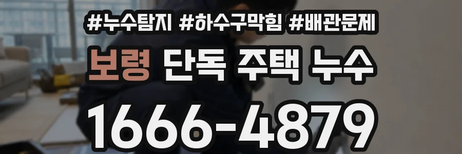 보령 단독 주택 누수