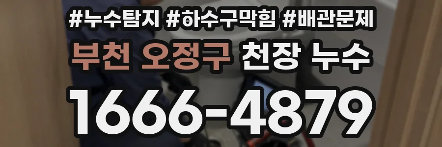 부천 오정구 천장 누수