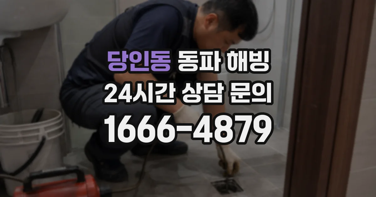 당인동 동파 해빙