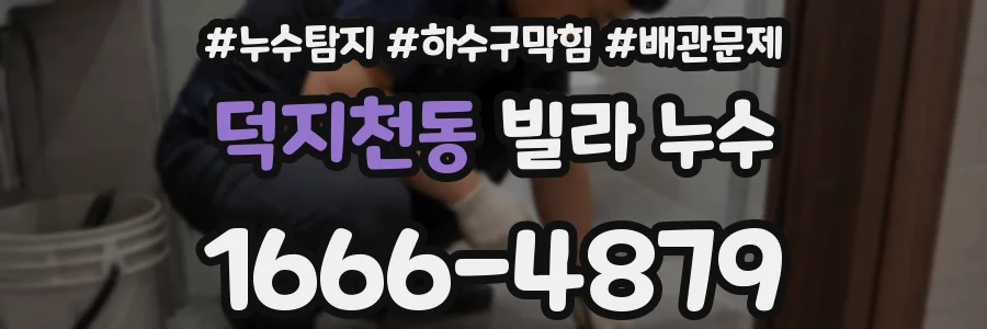 덕지천동 빌라 누수