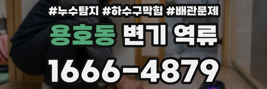 용호동 변기 역류