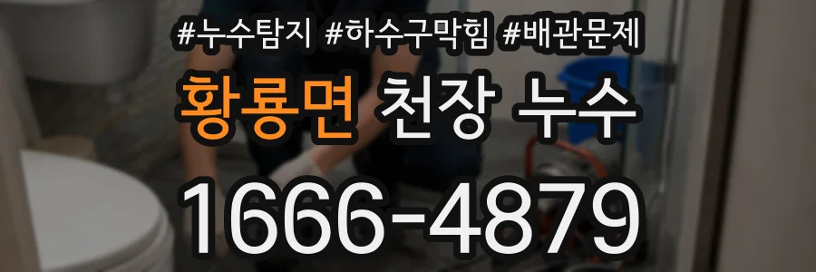 황룡면 천장 누수