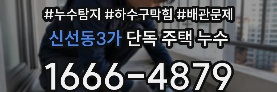 신선동3가 단독 주택 누수