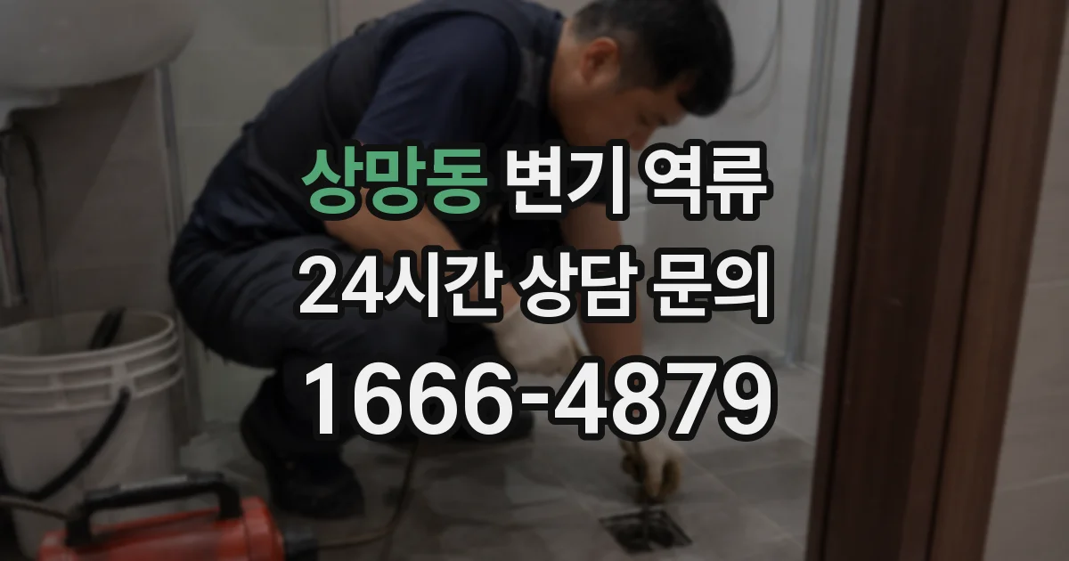 상망동 변기 역류