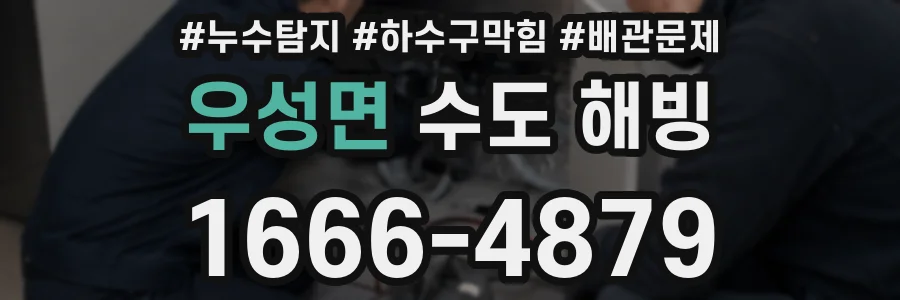 우성면 수도 해빙