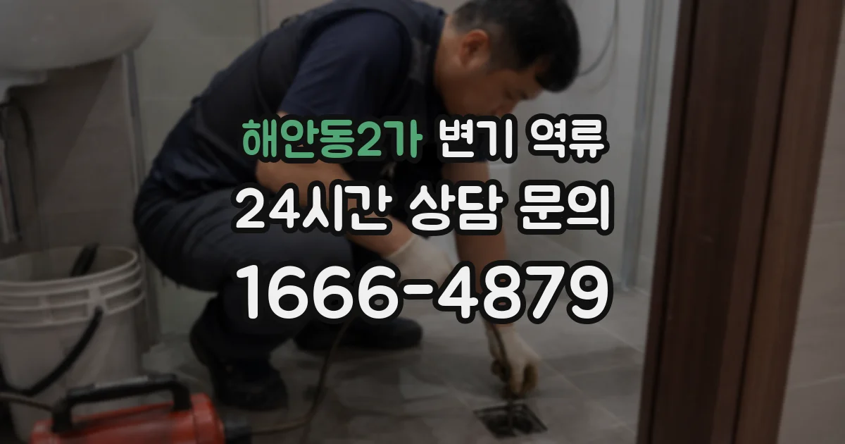 해안동2가 변기 역류