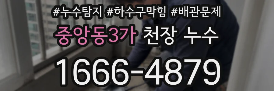 중앙동3가 천장 누수