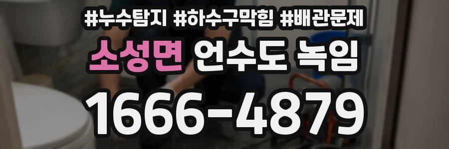 소성면 언수도 녹임
