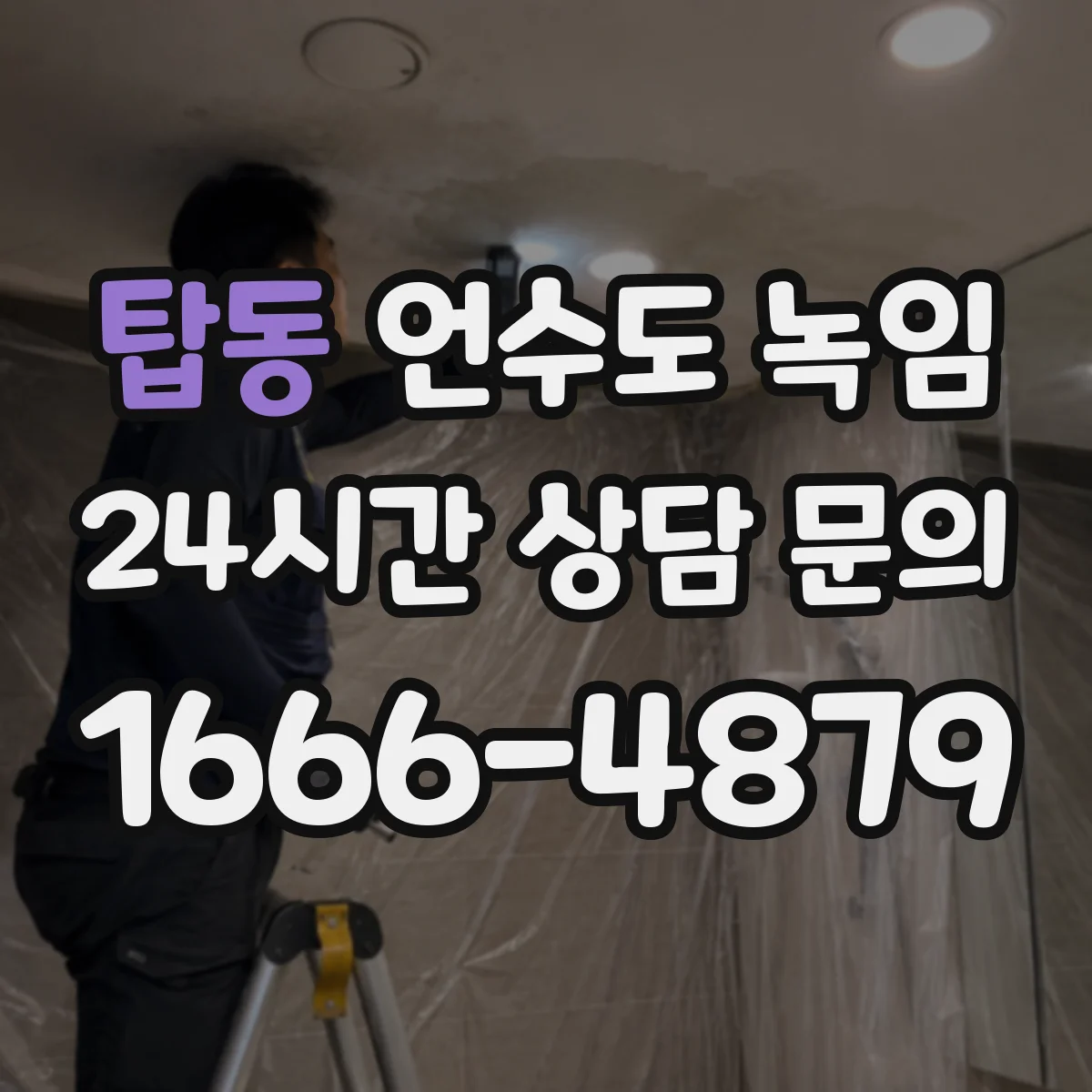 탑동 언수도 녹임