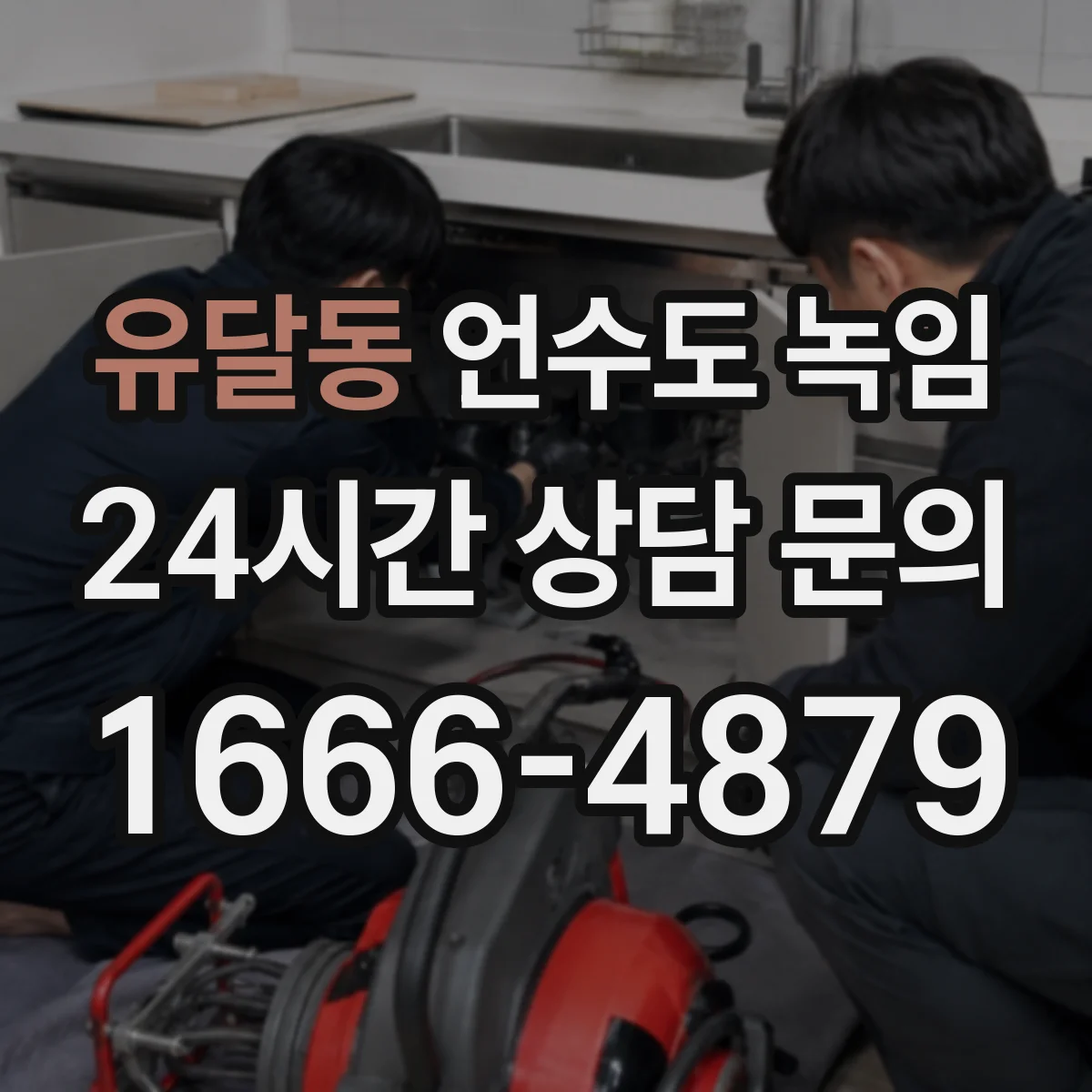 유달동 언수도 녹임