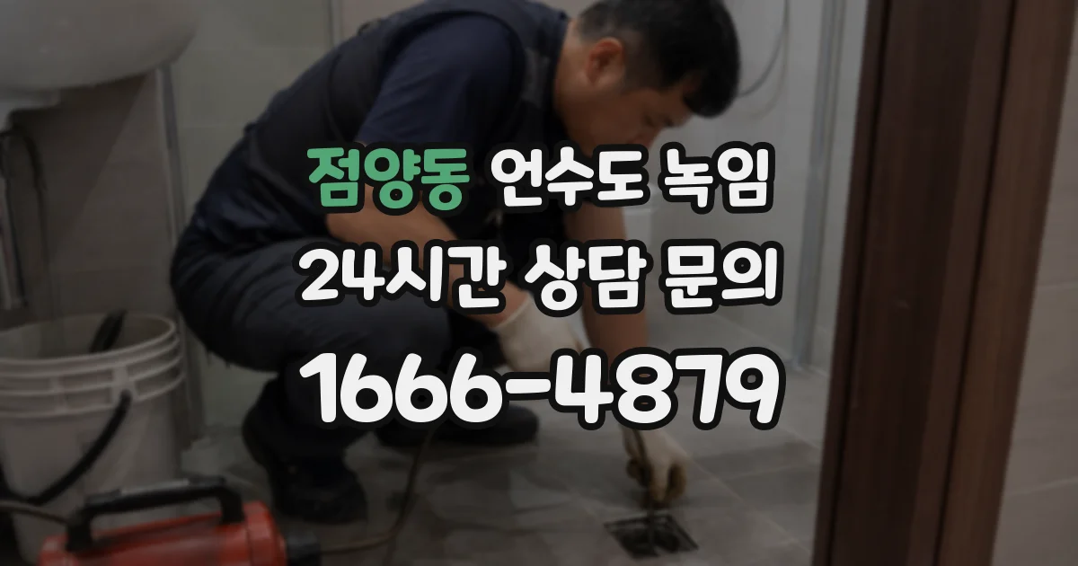 점양동 언수도 녹임