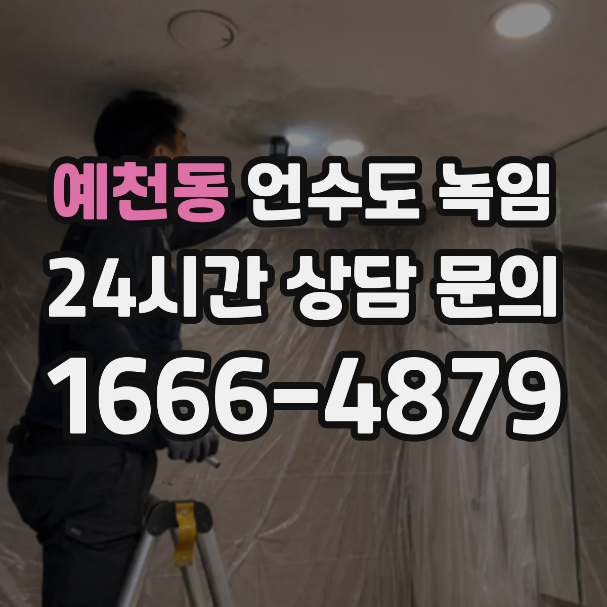 예천동 언수도 녹임