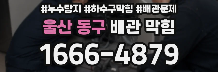 울산 동구 배관 막힘