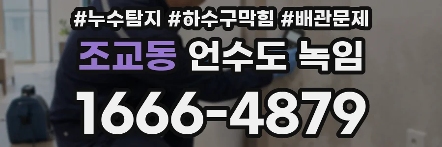 조교동 언수도 녹임