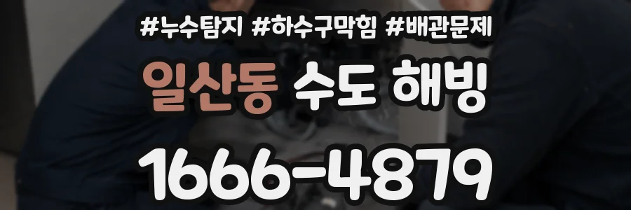 일산동 수도 해빙