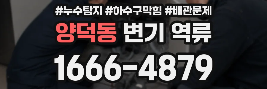 양덕동 변기 역류