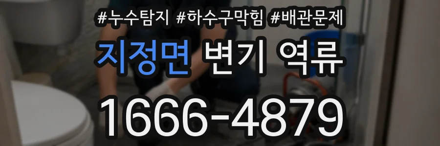 지정면 변기 역류