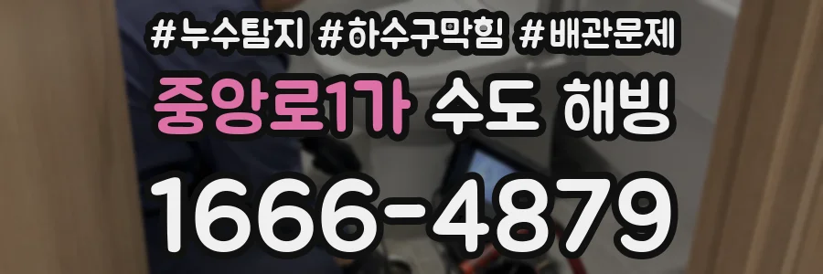 중앙로1가 수도 해빙