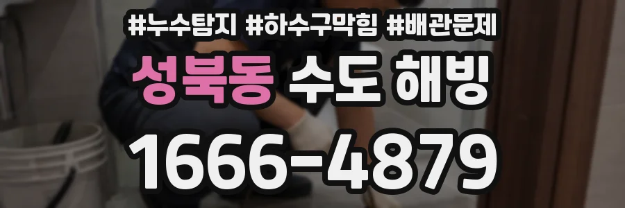 성북동 수도 해빙