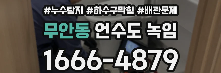 무안동 언수도 녹임