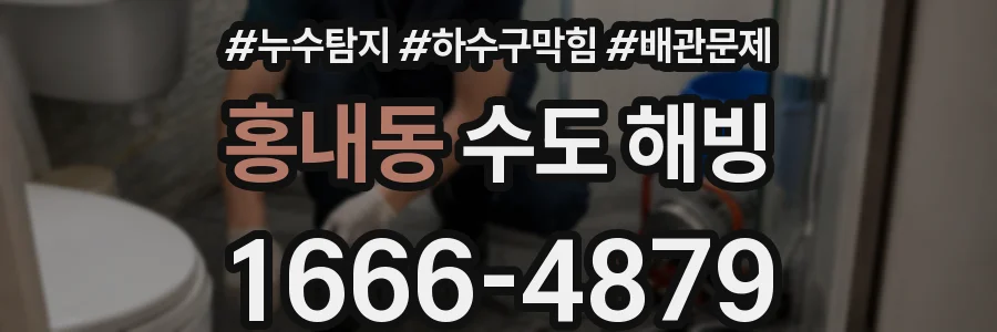 홍내동 수도 해빙