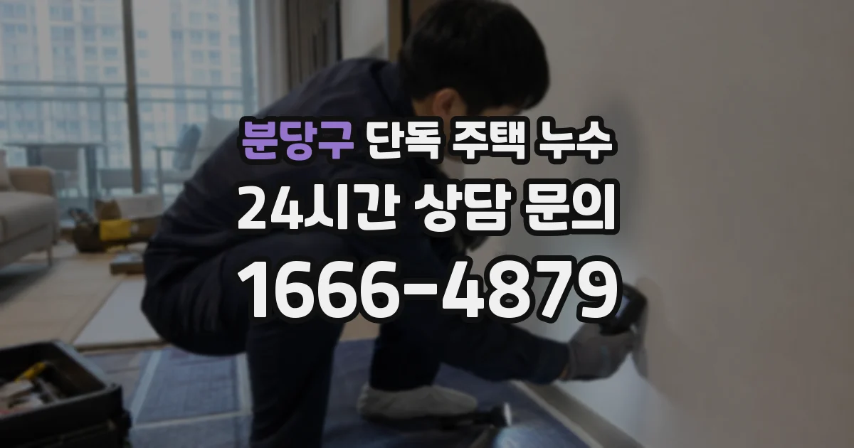 분당구 단독 주택 누수