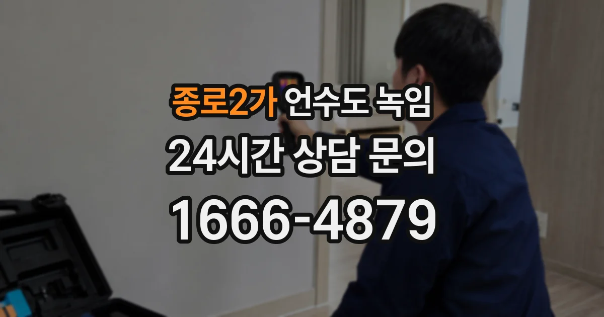 종로2가 언수도 녹임