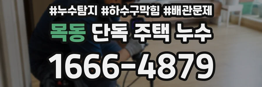 목동 단독 주택 누수