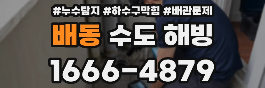 배동 수도 해빙