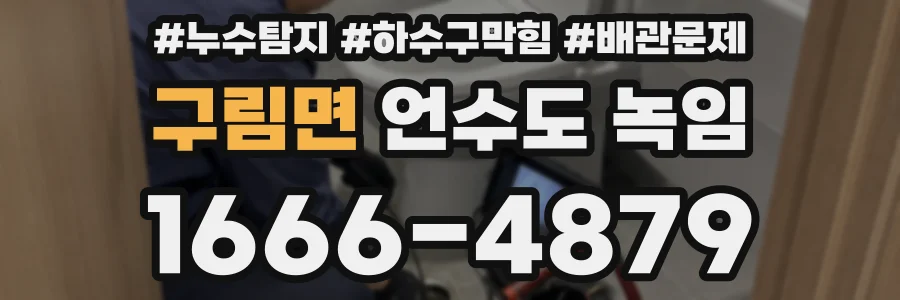 구림면 언수도 녹임