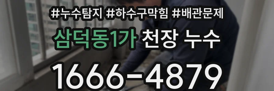 삼덕동1가 천장 누수