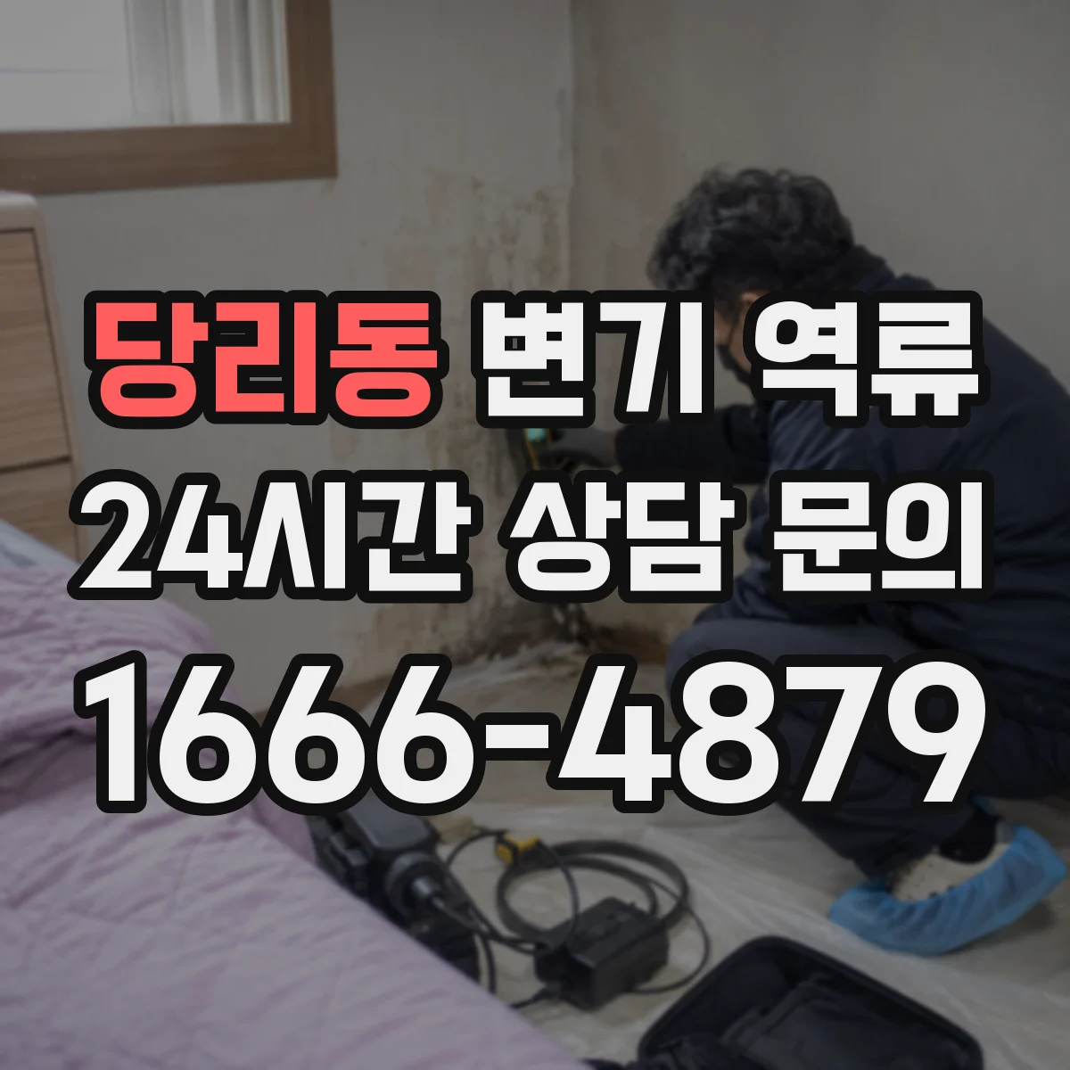 당리동 변기 역류