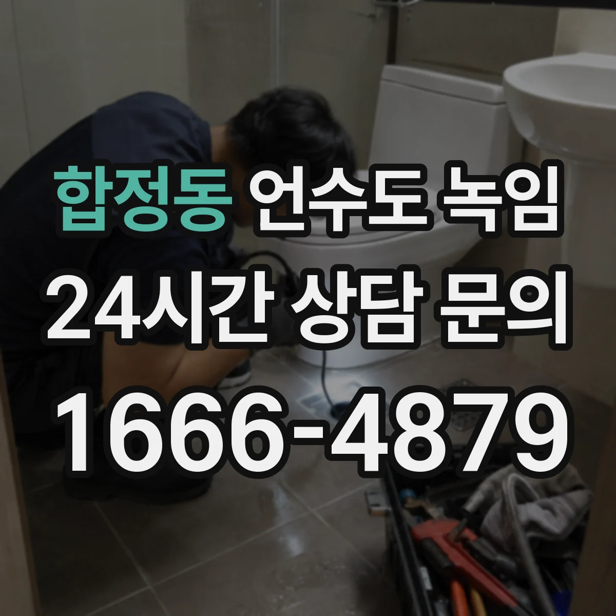 합정동 언수도 녹임