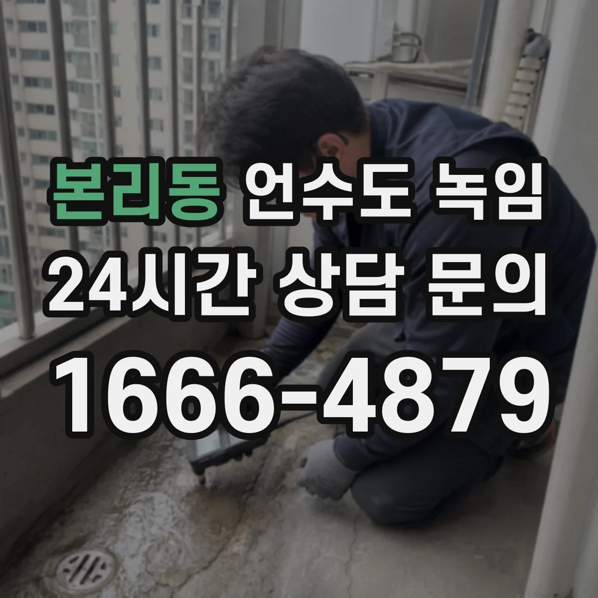 본리동 언수도 녹임