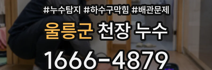 울릉군 천장 누수