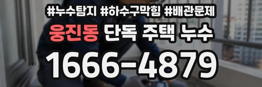 웅진동 단독 주택 누수