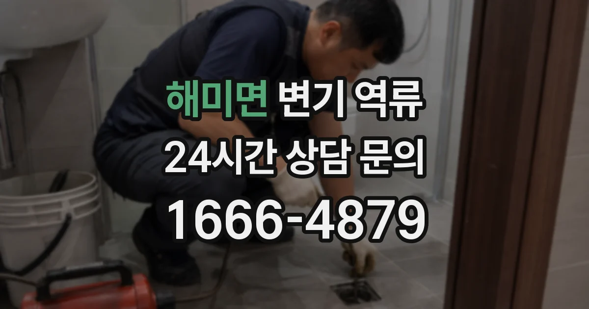 해미면 변기 역류