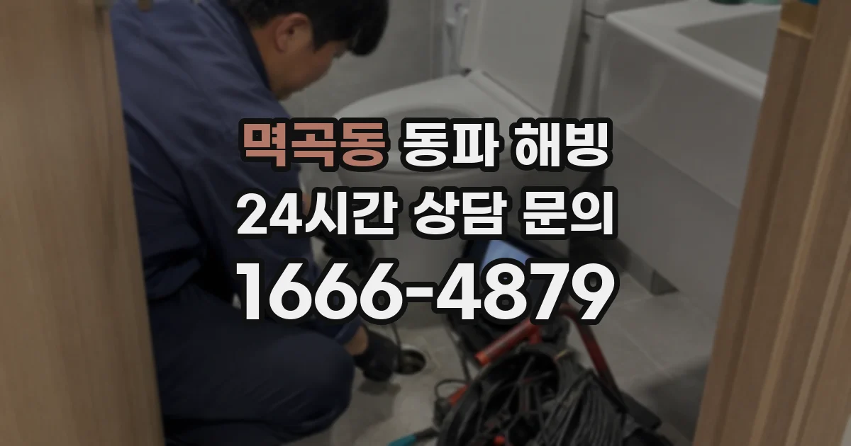 멱곡동 동파 해빙