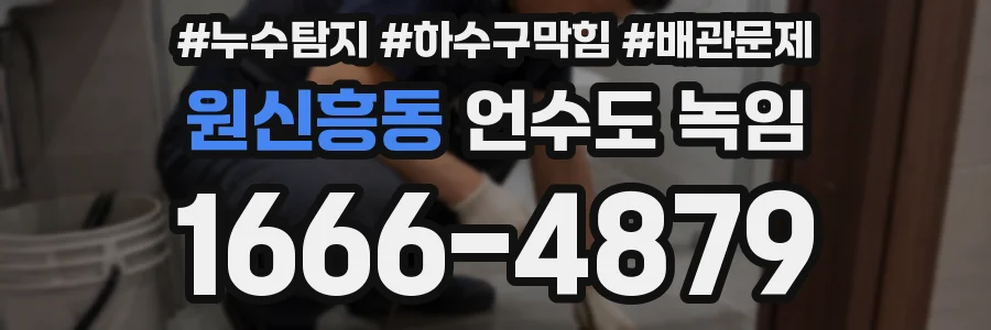 원신흥동 언수도 녹임