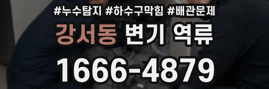 강서동 변기 역류