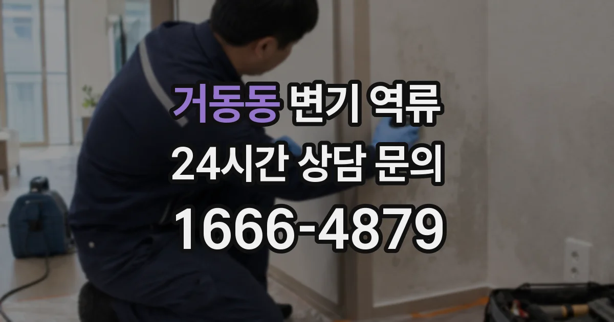 거동동 변기 역류
