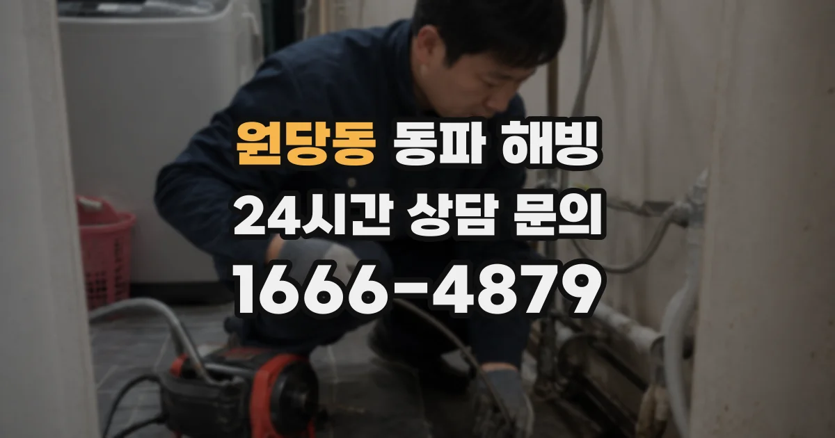 원당동 동파 해빙