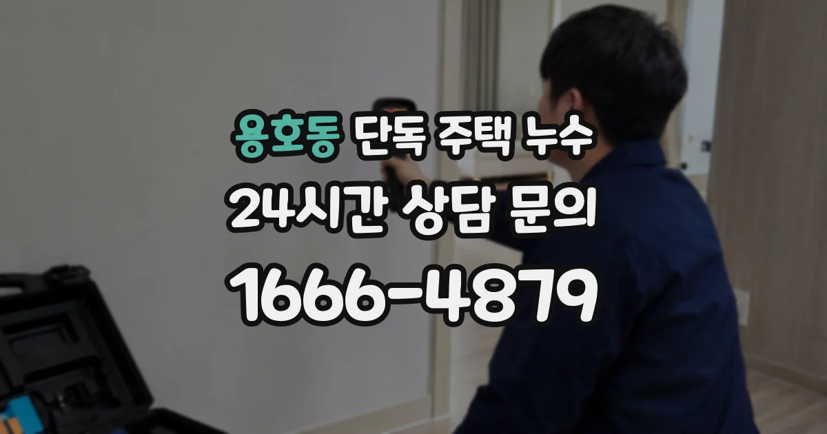 용호동 단독 주택 누수