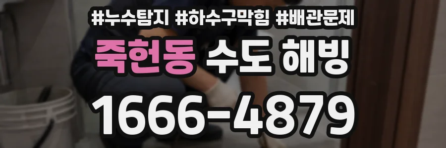 죽헌동 수도 해빙