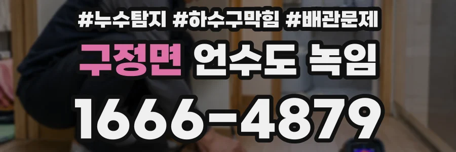 구정면 언수도 녹임